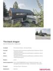 Project Sheet The black dragon