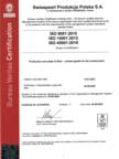 QEMS - ISO 9001:2015 (Production Poland)