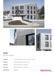 Project Sheet Hulk