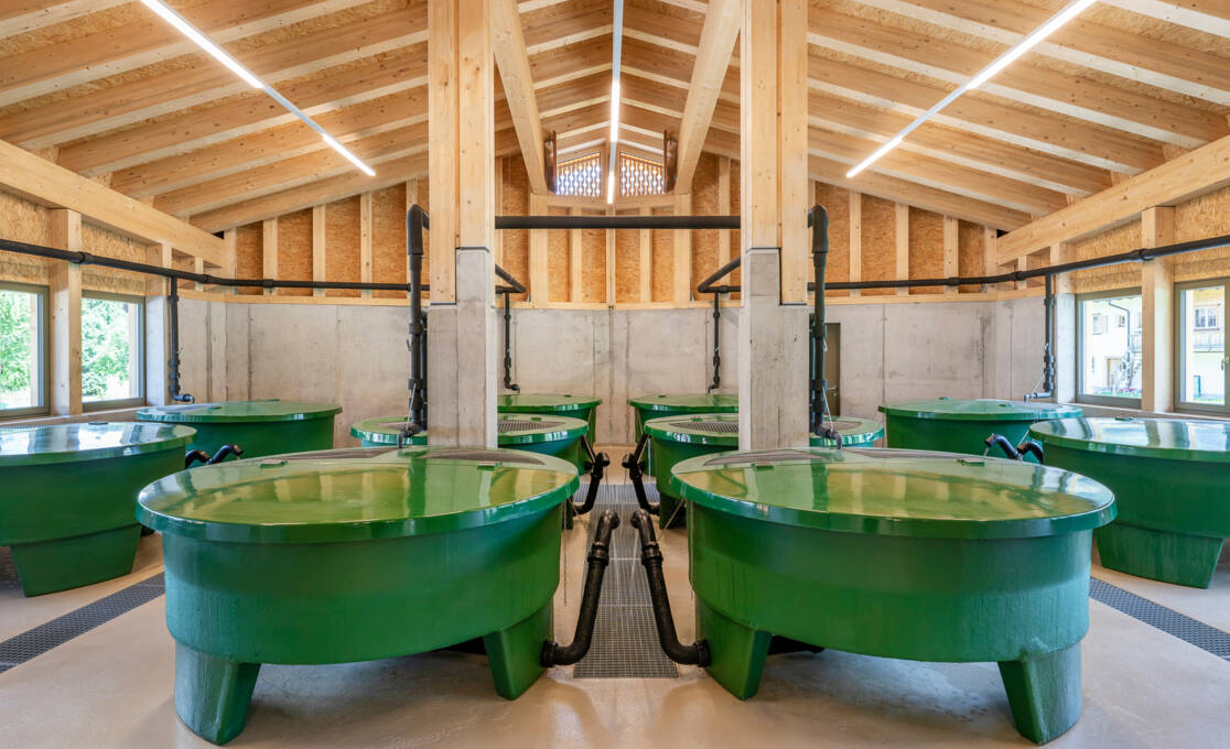 discover_fish_farming_1