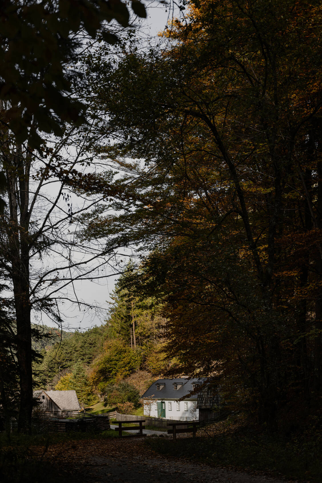 The Cabin, Miesenbach, Österreich