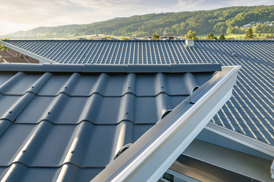 Sculptural Roof, Felben-Wellhausen, CH