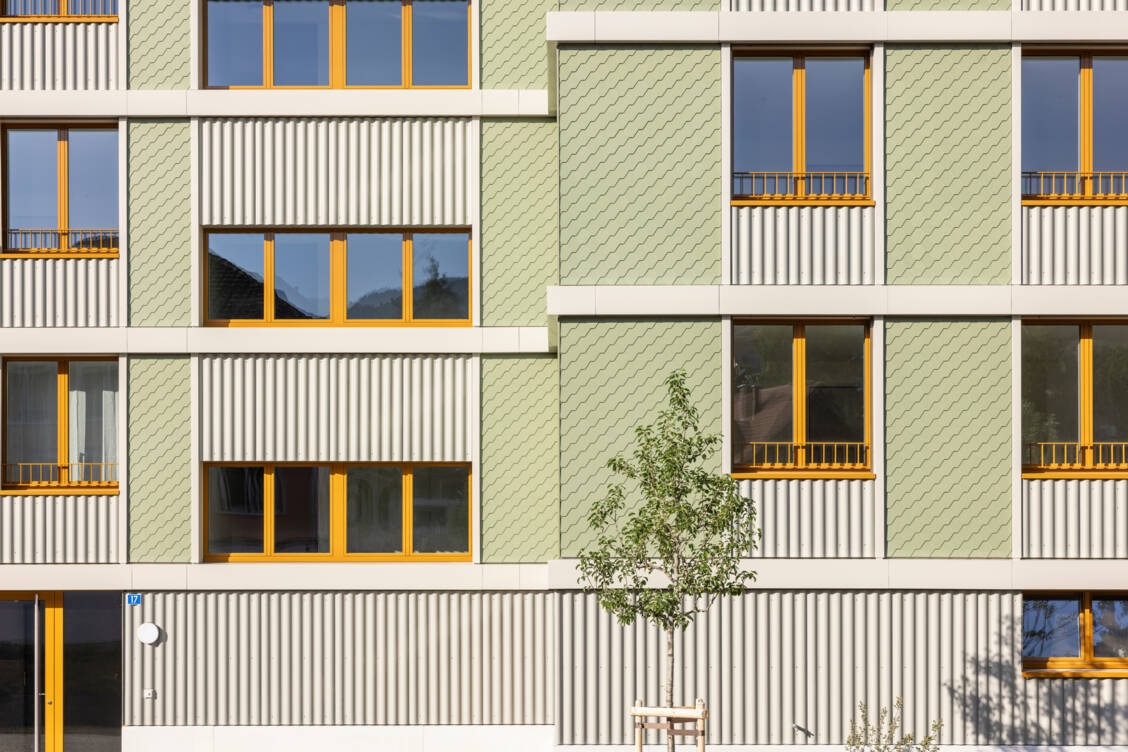The Old Weaving Mill, Neu St. Johann, CH