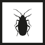 Organism Resistant Organism Resistant