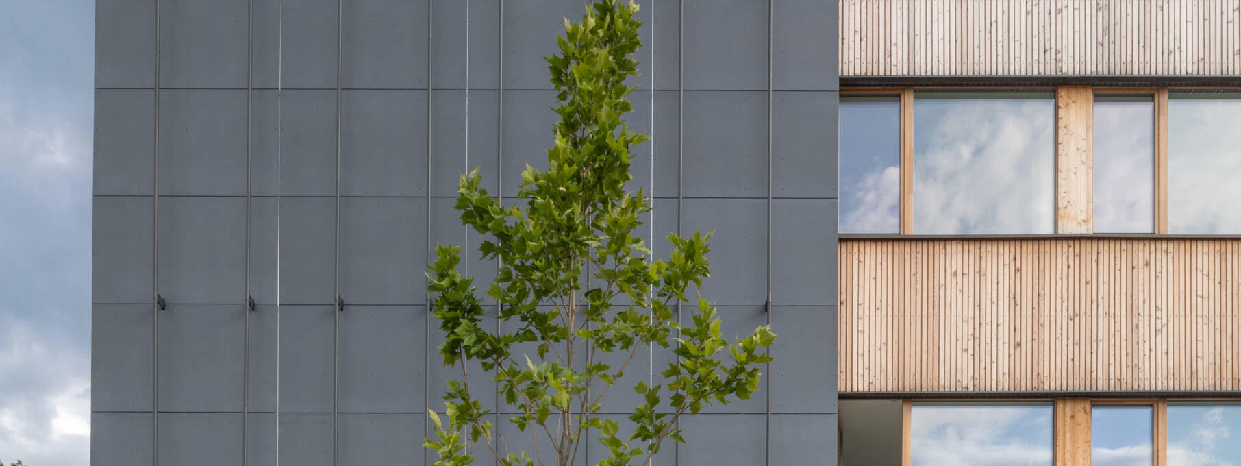 Ceskobrodska School, Prag Architekt Ecoten, Prag © Martin Micka_1