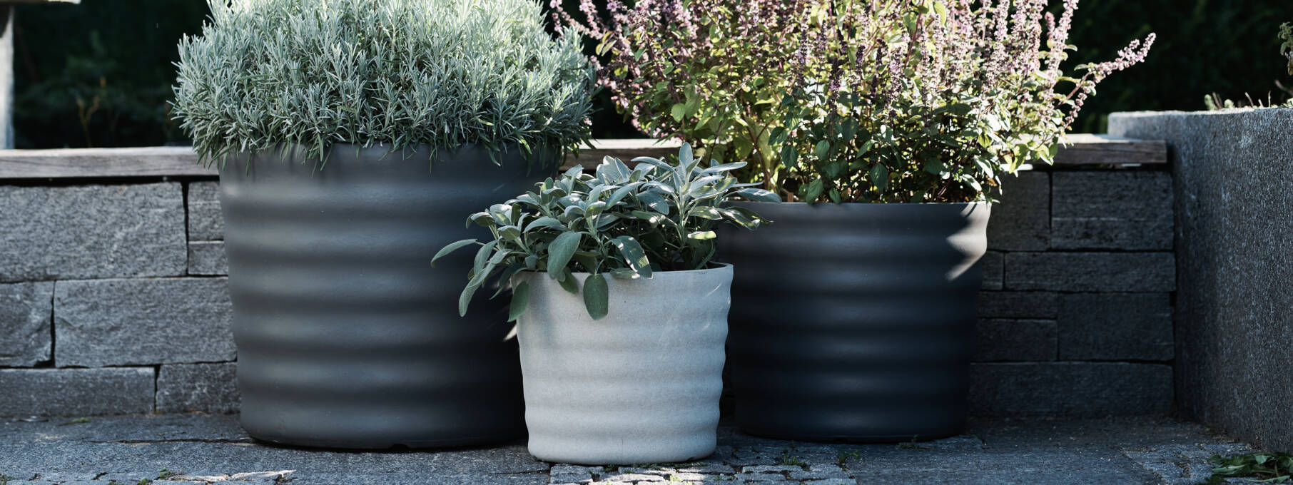 Swisspearl_5.9.23, Gartenshooting Kalender 202421352