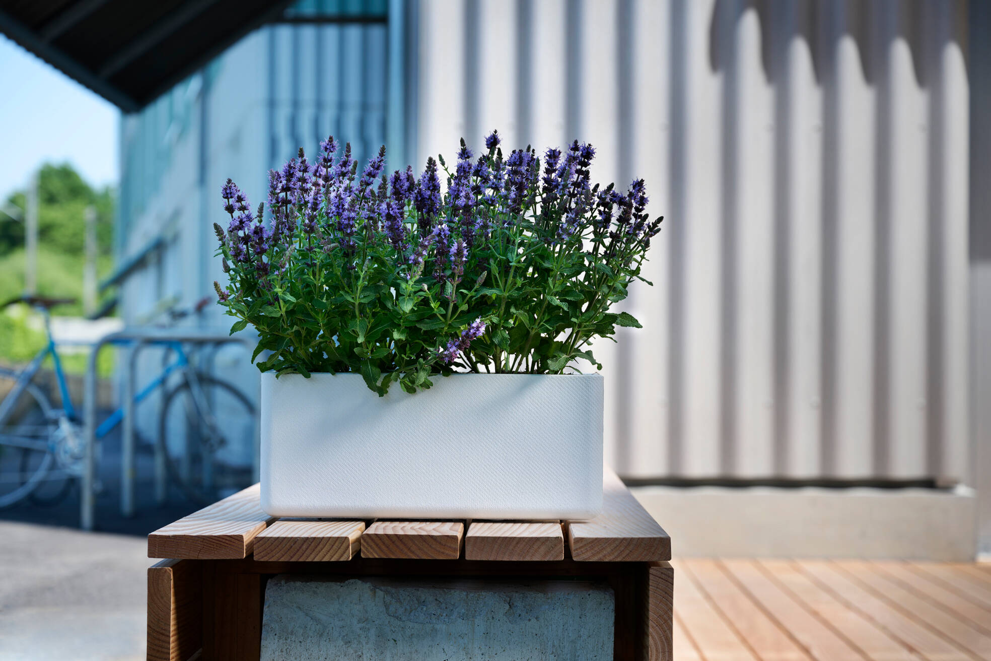 Eckige Pflanztöpfe für Ihren Garten Swisspearl