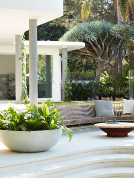 Bonsai_ROBERTPLUMB_Prue Ruscoe