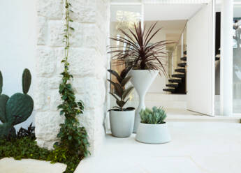 Spindel_Kyoto_ROBERTPLUMB_Prue Ruscoe