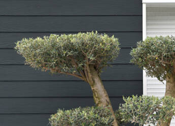 Swisspearl Plank Original_Referenz