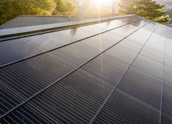 Villa Corseaux, Schweiz