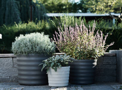 Swisspearl_5.9.23, Gartenshooting Kalender 202421352