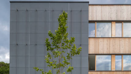 Ceskobrodska School, Prag Architekt Ecoten, Prag © Martin Micka_1