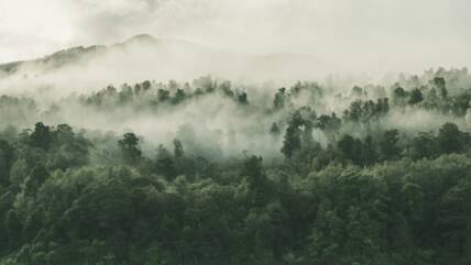 tobias-tullius-RhjVGxILcqE-unsplash