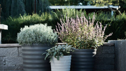 Swisspearl_5.9.23, Gartenshooting Kalender 202421352