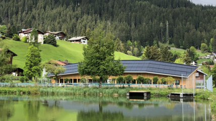 Varia gg fisch zucht