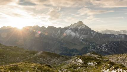 Landscape Landscape