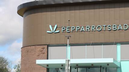 Sweden_Pepparrotsbadet,_Enköping_2021_71459