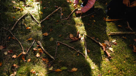 Sustainability Campaign_Tree.jpg