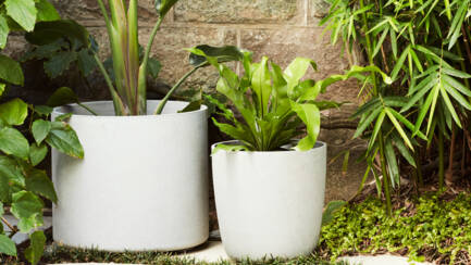 Kyoto_DeltaRund_ROBERTPLUMB_©Prue Ruscoe_K.jpg