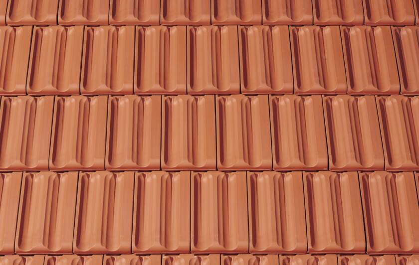 PRO_FOT_RUS_FLA_100-natur_#SALL_#ABP_#V1