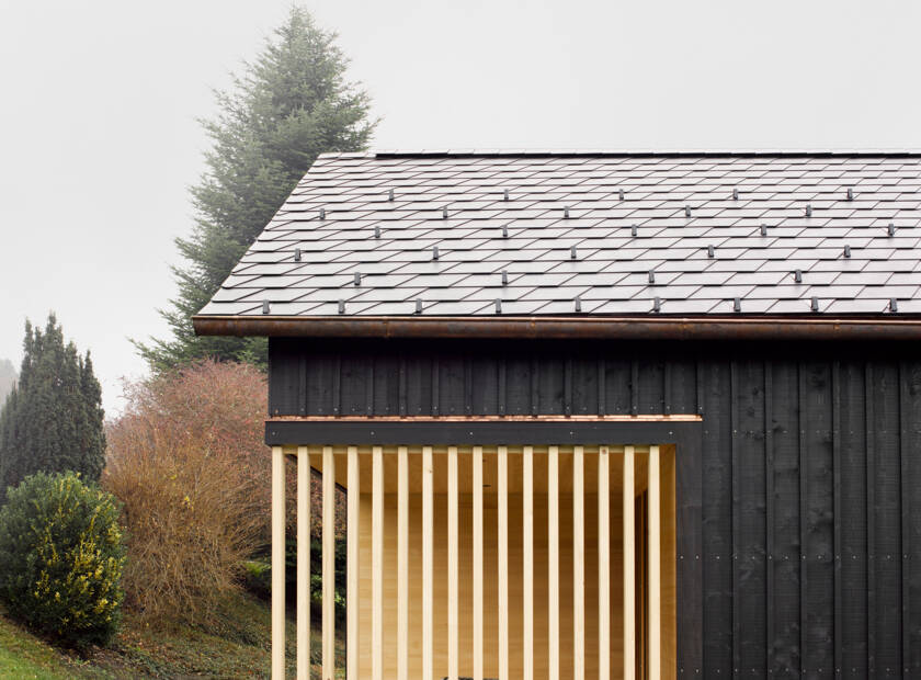 Wohnhaus Z/F, Gaissau, AT