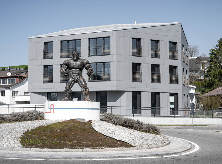 MFH, Hulk, Gossau ZH, CH