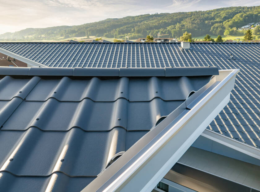Sculptural Roof, Felben-Wellhausen, CH