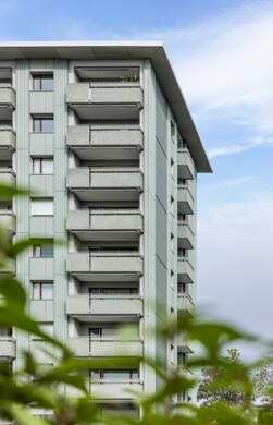 MFH, Hohes Haus, Jona, CH